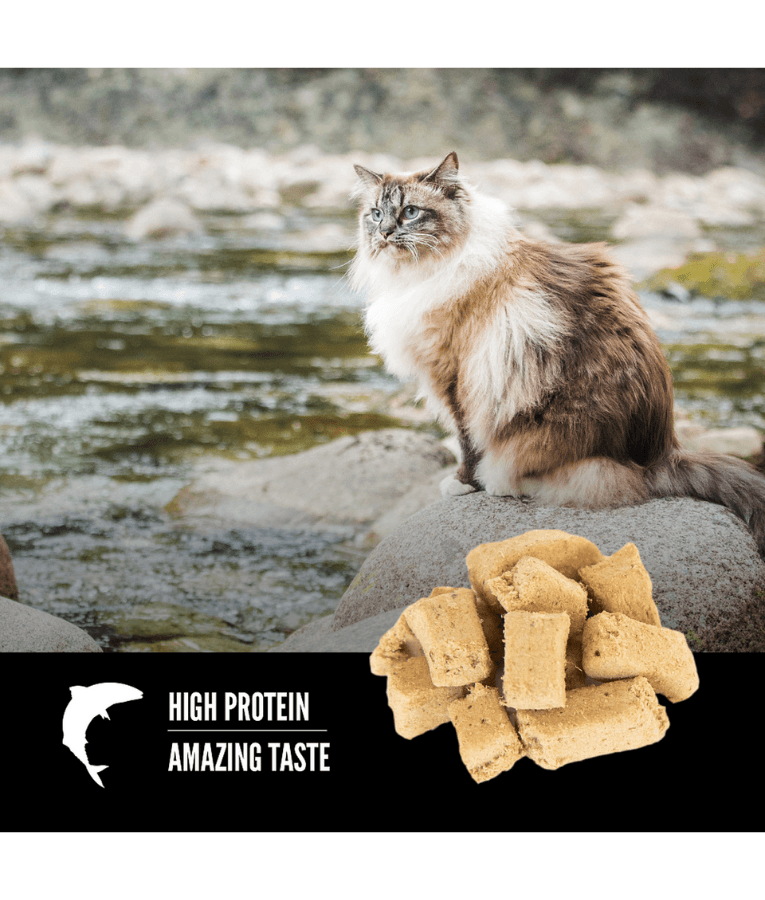 Orijen - Six Fish Recipe, Wild-Caught Fish, High-Protein, Grain-Free, Adult & Senior Dry Cat Food - 1.8kg