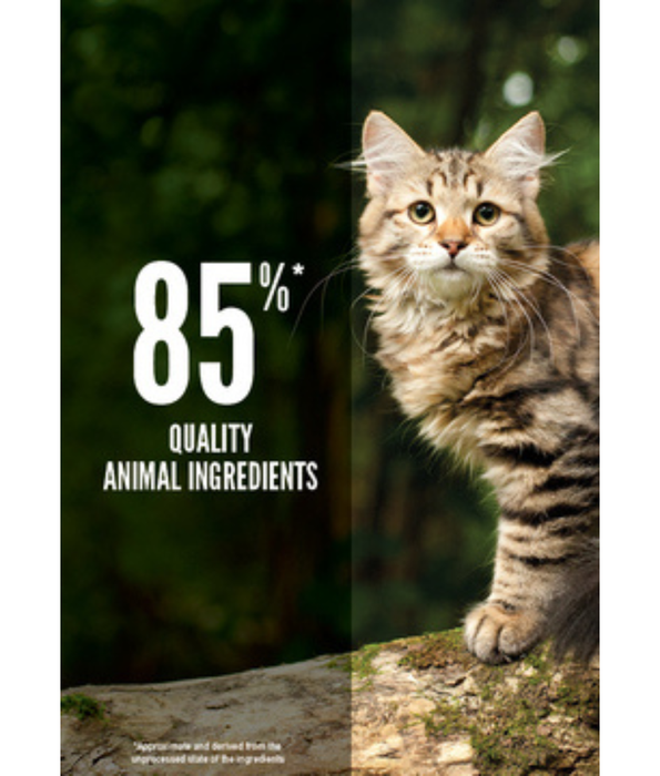 Orijen - Tundra, Duck, Fish & Venison, WholePrey, Grain-Free, Adult & Senior Dry Cat Food - 1.8kg