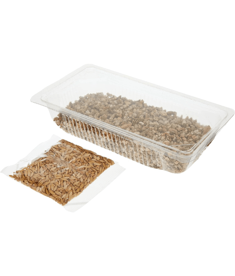 Webbox - Cat Grass - 120g