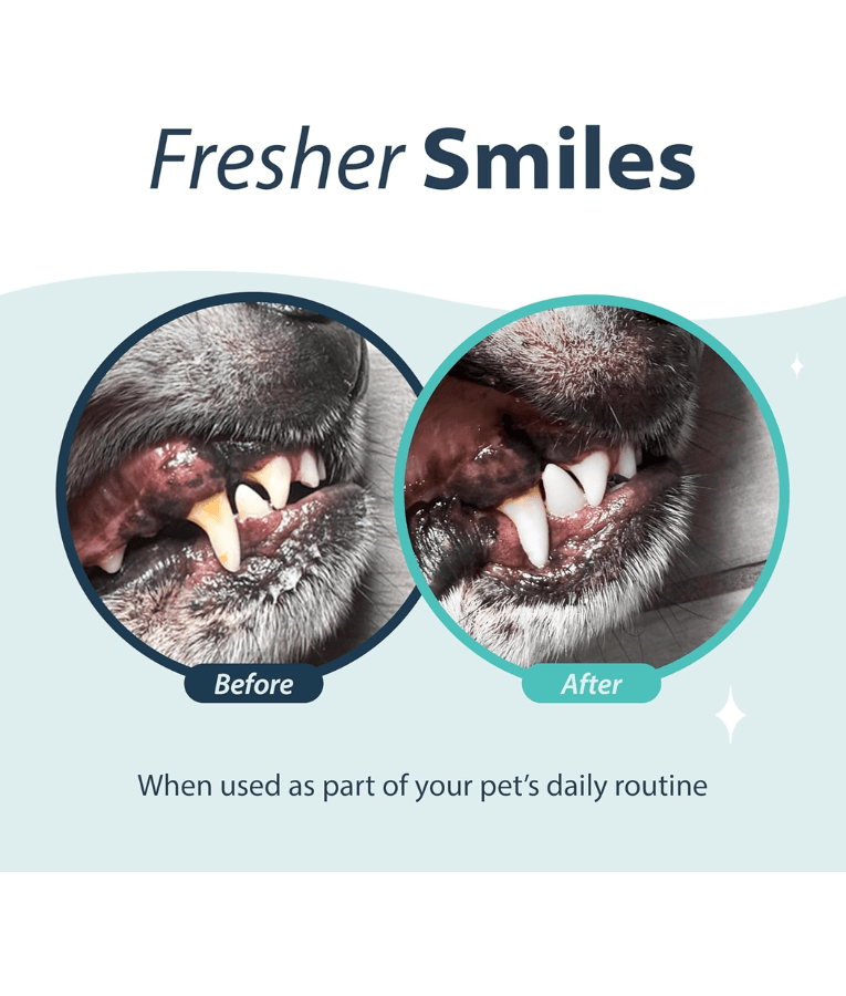 Synergy Labs - Dental Fresh, Oral Spray For Dogs & Cats - 118ml
