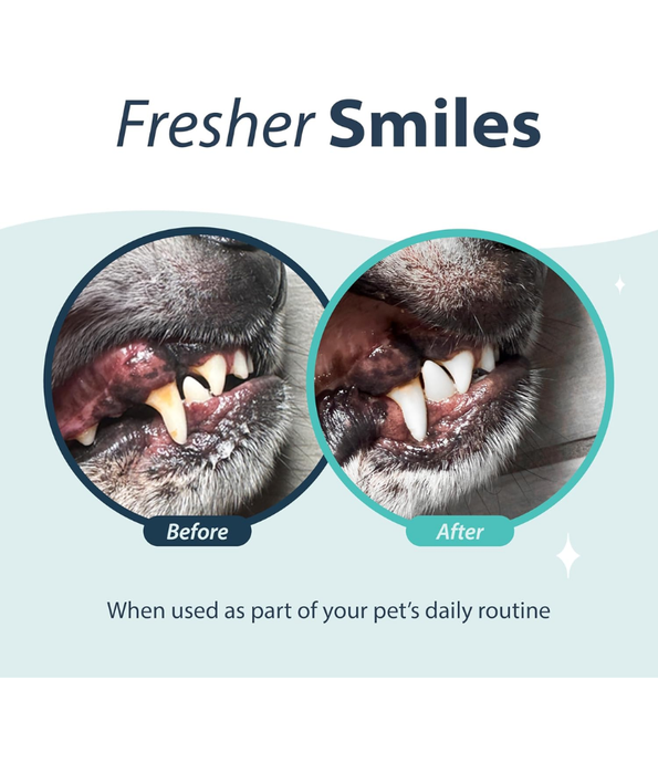 Synergy Labs - Dental Fresh, Oral Spray For Dogs & Cats - 118ml