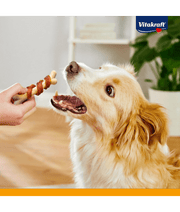 Dog eagerly anticipating training treat, showcasing Vitakraft dog calcium bones with delicious duck meat.