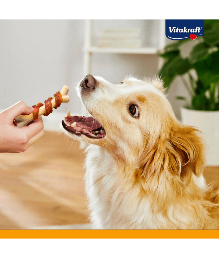 Dog eagerly anticipating training treat, showcasing Vitakraft dog calcium bones with delicious duck meat.