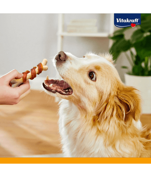 Dog eagerly anticipating training treat, showcasing Vitakraft dog calcium bones with delicious duck meat.
