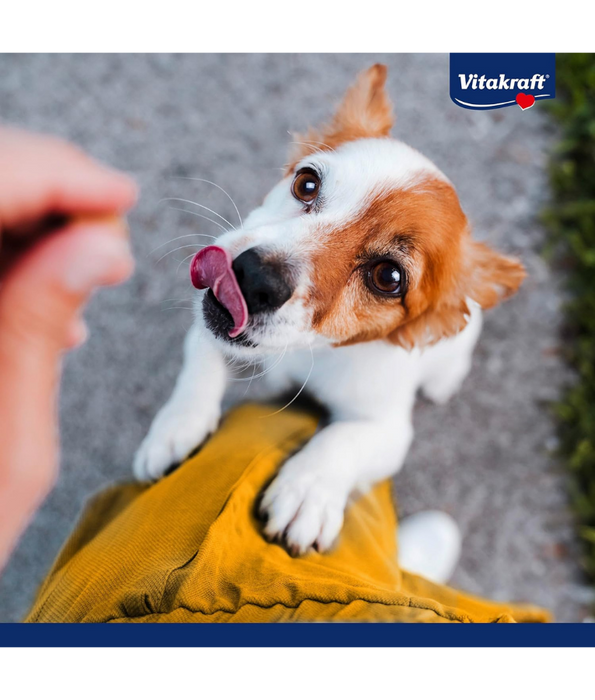 Vitakraft - Pure Chicken Coins, 95% Chicken Meat, Grain-Free, High-Protein Dog Treat - 80 g