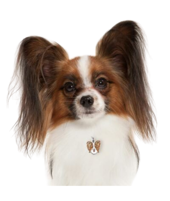 ID Tag - Papillion