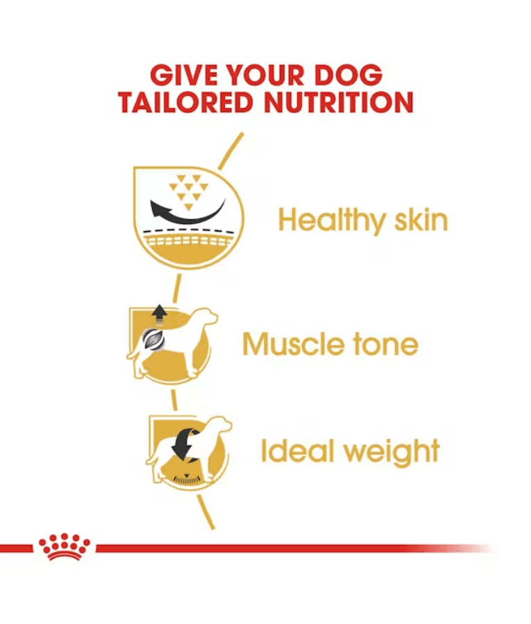 Royal Canin - Pug Adult, Skin Support, Muscle Tone, Adult & Senior Dogs, Small Breed, Dry Dog Food - 1.5 kg