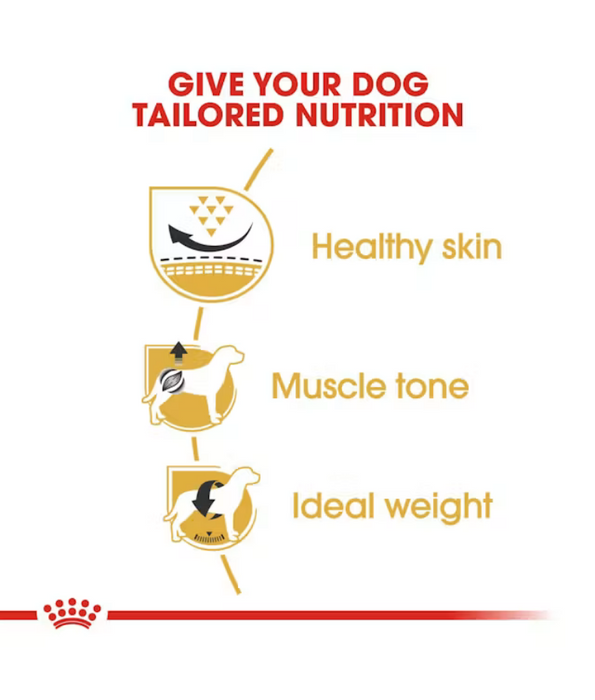 Royal Canin - Pug Adult, Skin Support, Muscle Tone, Adult & Senior Dogs, Small Breed, Dry Dog Food - 1.5 kg