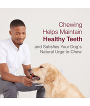 Man feeding a Golden Retriever with rawhide-free dental dog treats to support healthy teeth.