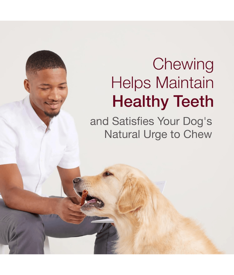 Man feeding a Golden Retriever with rawhide-free dental dog treats to support healthy teeth.