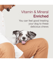Happy dog enjoying vitamin and mineral enriched rawhide-free dental dog treats with owner.