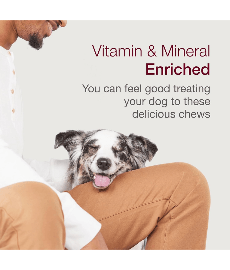Happy dog enjoying vitamin and mineral enriched rawhide-free dental dog treats with owner.