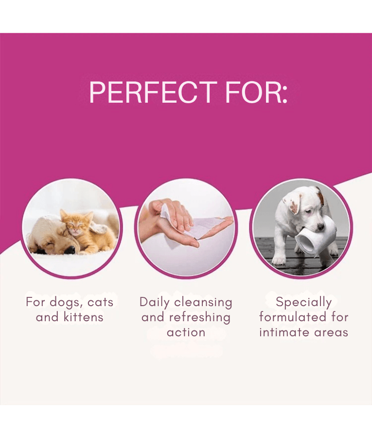 Inodorina - Everyday Pet Wipes, Rose Water, Odour Stop & Moisturising Wipes for Dogs, Cats & Puppies - 40pcs