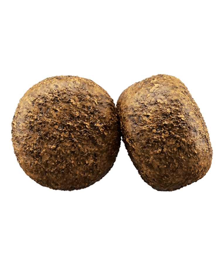 Two round kibble pieces of Josera Help Renal gluten-free kidney support dog food for adult dogs.
