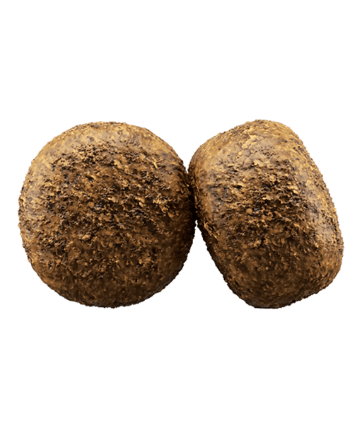 Two round kibble pieces of Josera Help Renal gluten-free kidney support dog food for adult dogs.