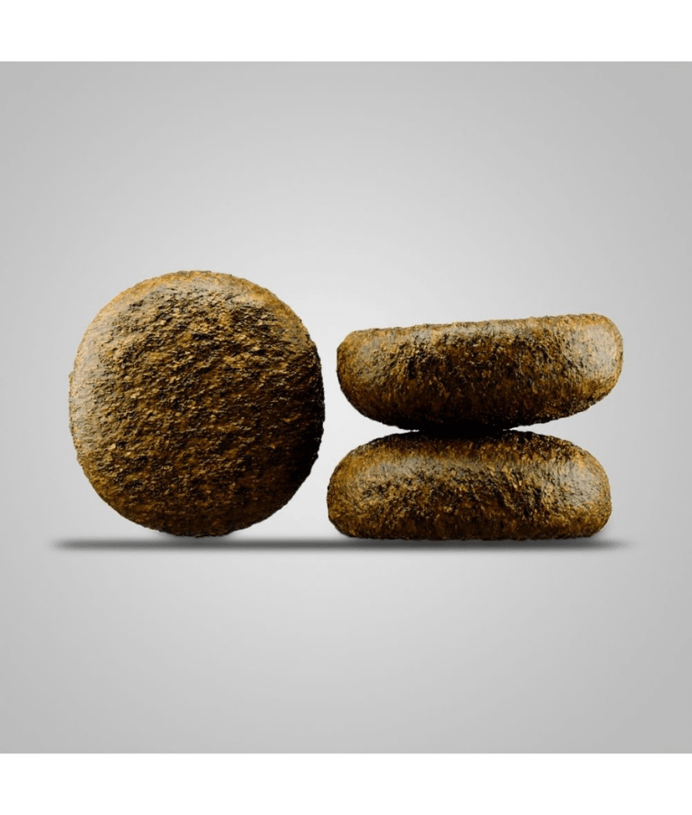 Gluten-free kidney support dog food kibble, showcasing round dog food pieces for adult dogs with renal issues.