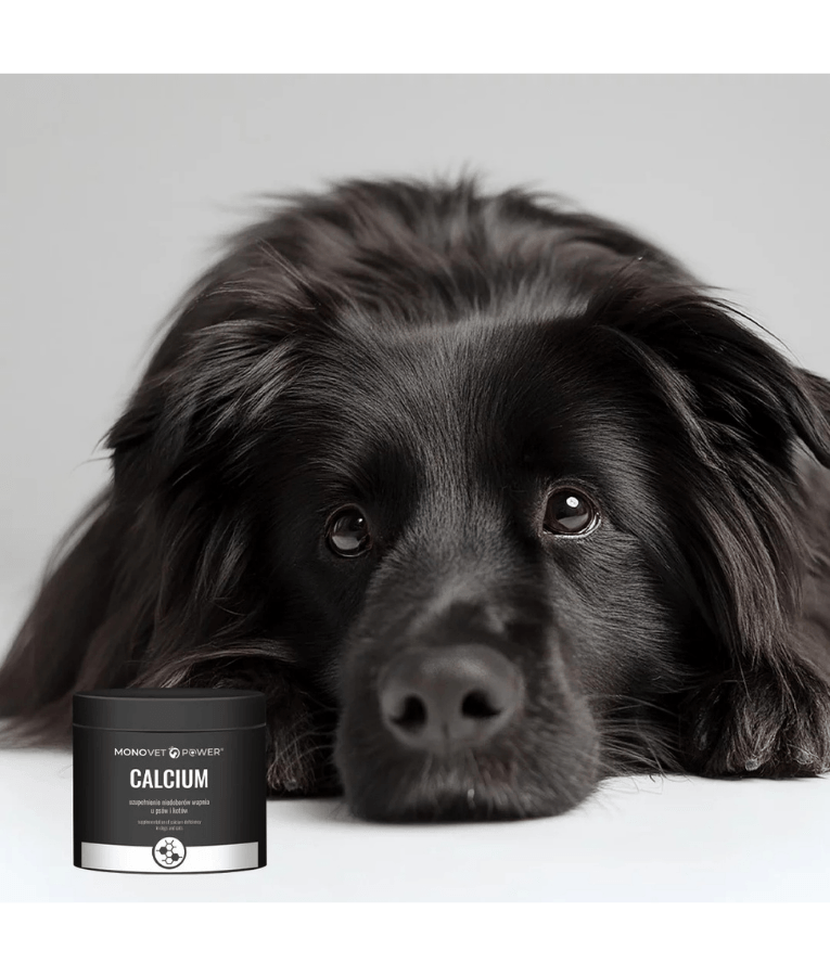 JM Sante - Monovet Power Calcium Powder Supplement for Bone & Teeth Support, Dogs & Cats - 250 g