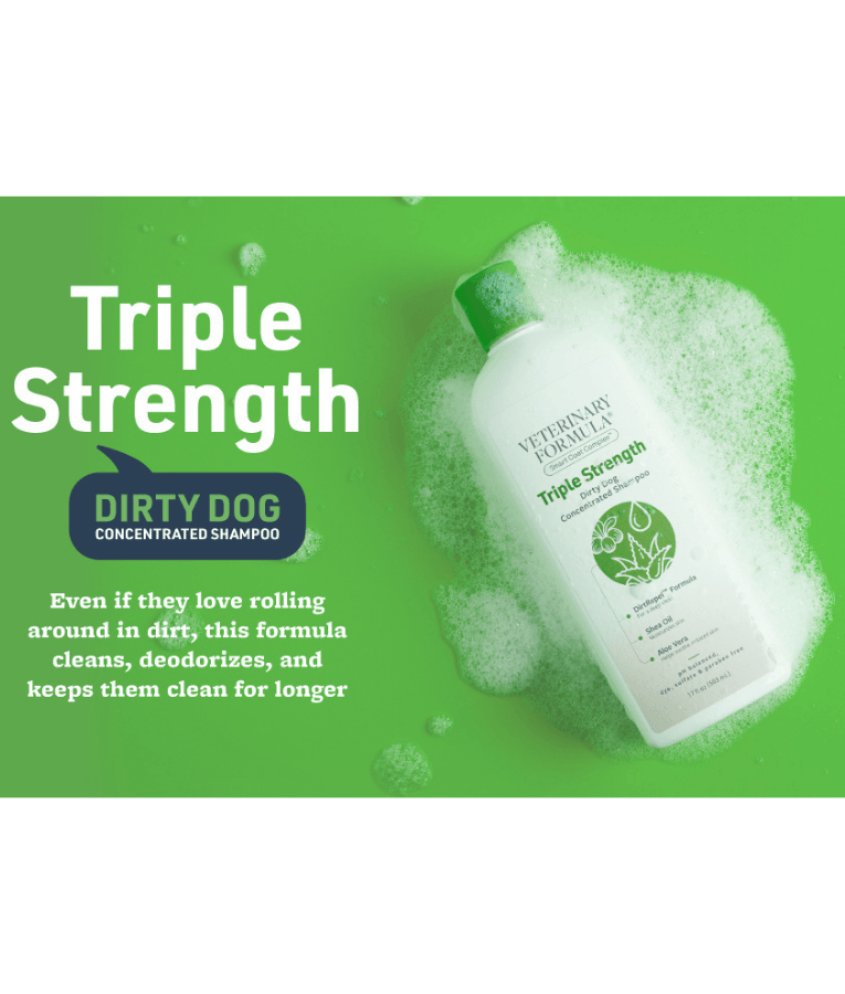 Synergy Labs - Veterinary Formula Solutions, Triple Strength Dirty Dog Concentrated Shampoo - 503ml