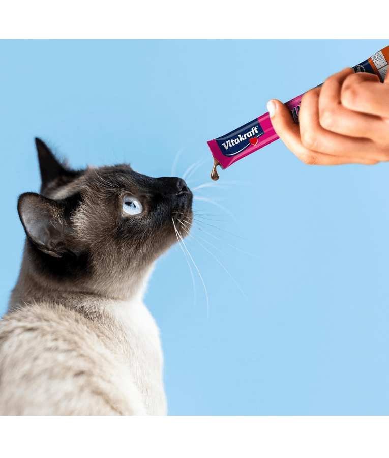 Cat enjoying Vitakraft Liquid Snack being offered from a sachet against a blue background.