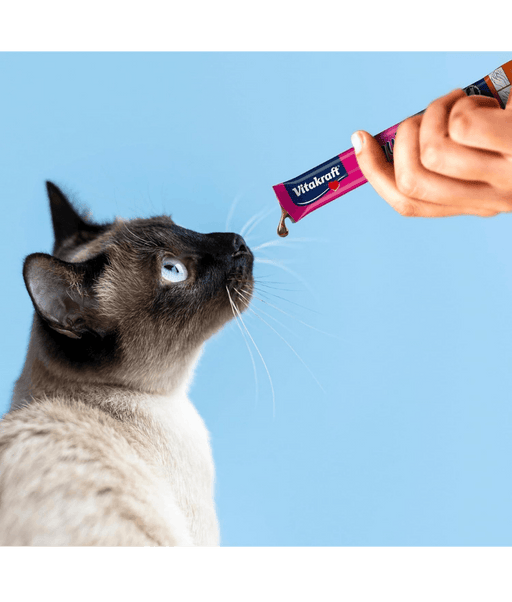Cat enjoying Vitakraft Liquid Snack being offered from a sachet against a blue background.