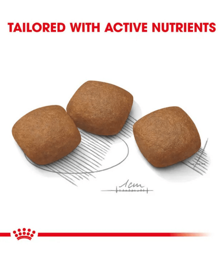 Royal Canin - Maxi Joint Care Adult Large Breed Dog, Hip & Joint Support, Weight Management, With Grains Dry Dog Food - 10 kg