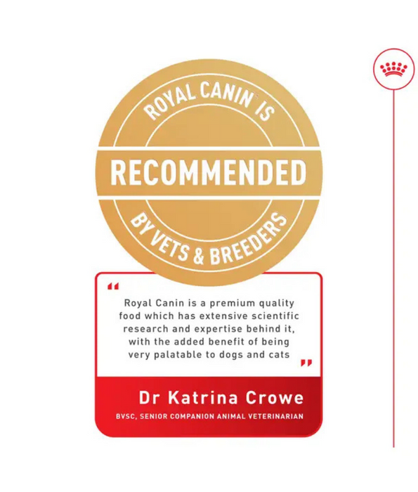 Royal Canin - Maxi Joint Care Adult Large Breed Dog, Hip & Joint Support, Weight Management, With Grains Dry Dog Food - 10 kg