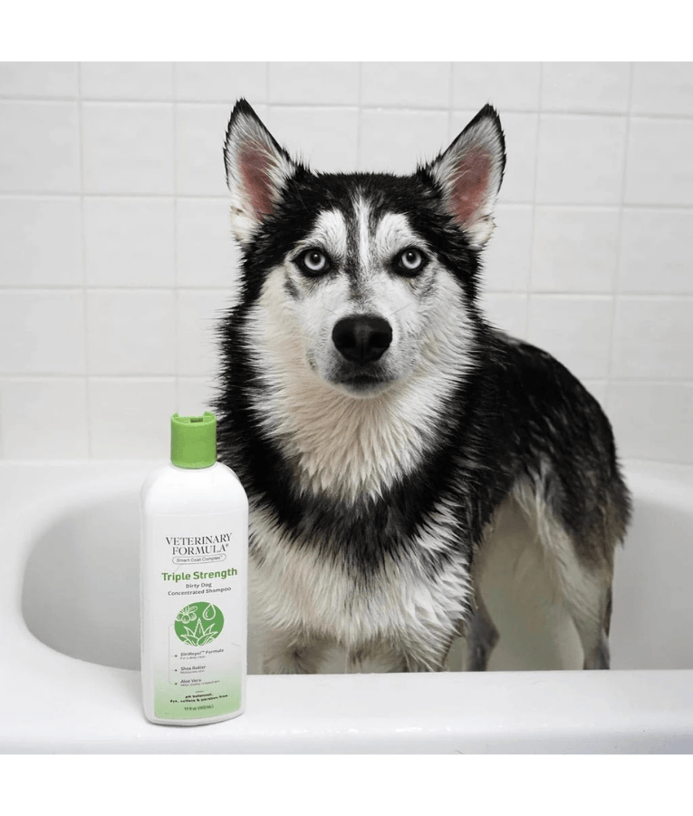 Synergy Labs - Veterinary Formula Solutions, Triple Strength Dirty Dog Concentrated Shampoo - 503ml