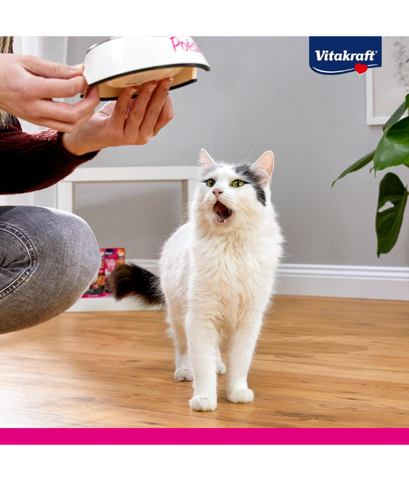 Vitakraft - Poésie Création Multipack, Chicken, Beef & Turkey in Sauce, Complete Wet Adult Cat Food - 510g (6 x 85g)