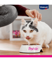 cat enjoying Vitakraft Poésie Délice, a premium adult wet cat food in a bowl.