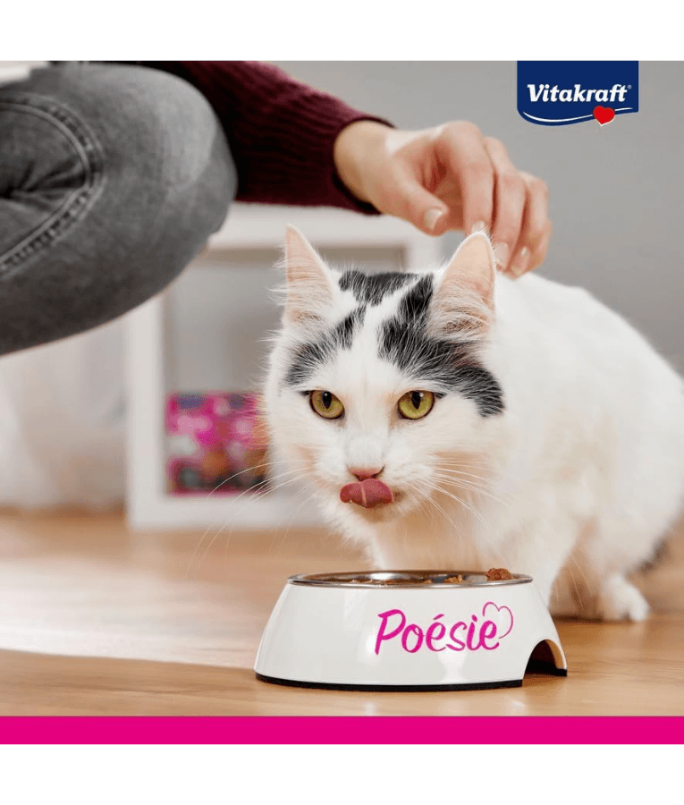cat enjoying Vitakraft Poésie Délice, a premium adult wet cat food in a bowl.