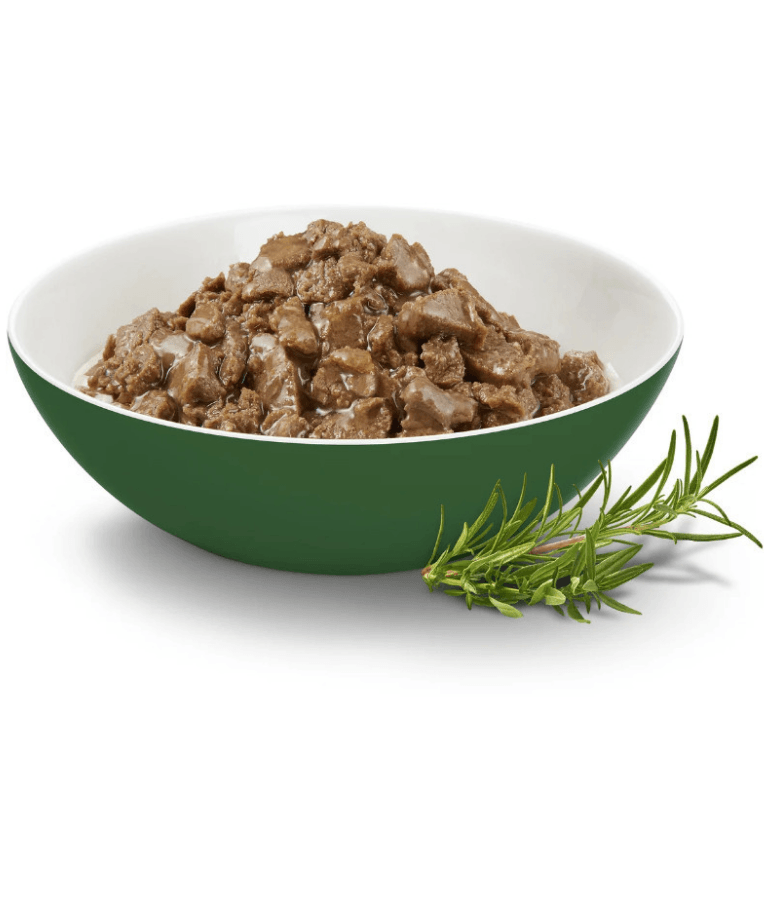 High quality cat food in a bowl with meat chunks and sauce, alongside fresh herbs for flavor.
