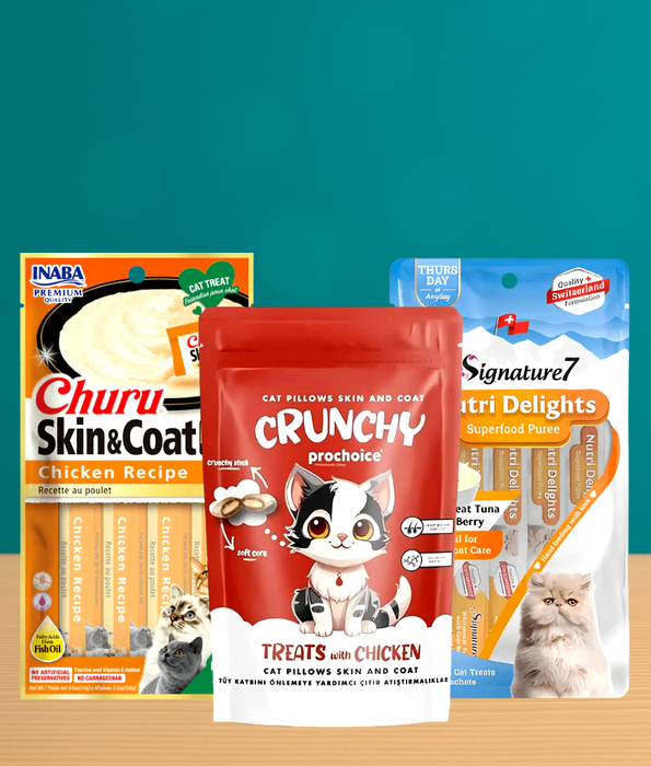 Skin & Coat Care Bundle