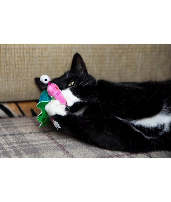 Gigwi - Shining Friends Snail with activated LED light & Catnip inside