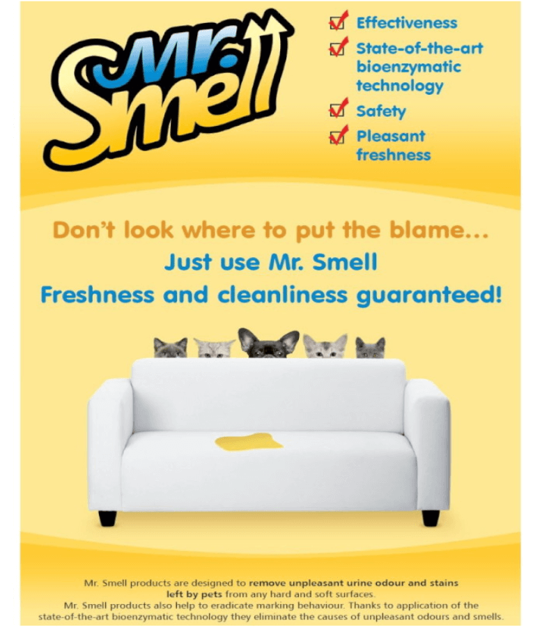 Mr. Smell Sofa & Carpet Stain Remover 500ml