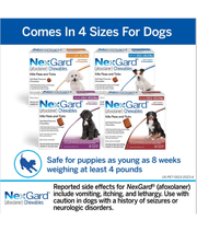 Nexgard - 2-4KG