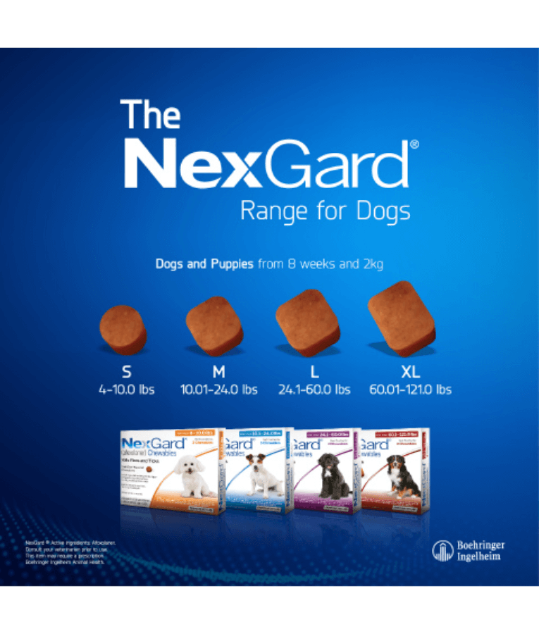 Nexgard - 2-4KG