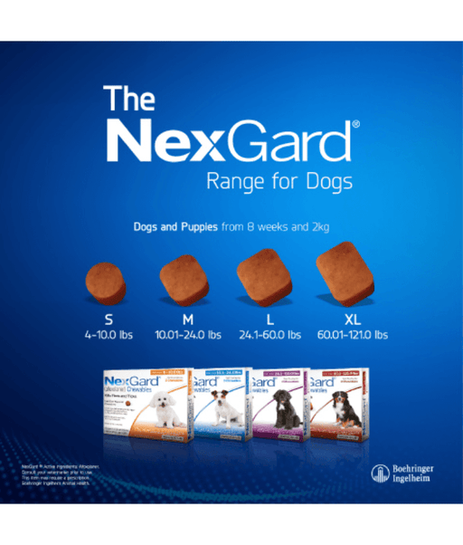 Nexgard - 2-4KG