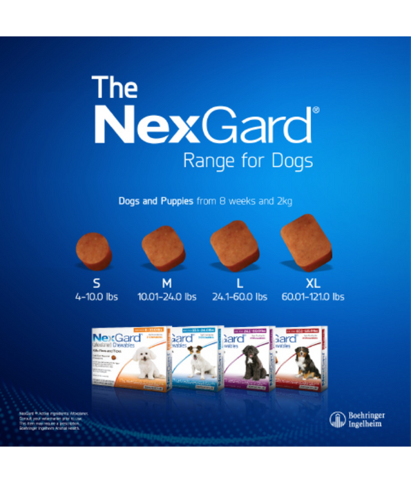 Nexgard - 2-4KG