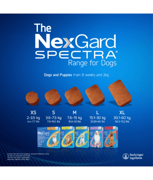Nexgard Spectra - 3.5kg-7.5kg