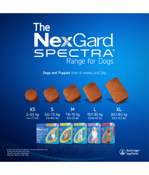 Nexgard Spectra - 3.5kg-7.5kg
