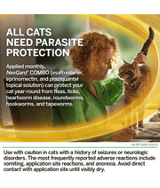 Nexgard Combo Spot On For Cats 2.5-7.5 kg (Sold per Pipette)