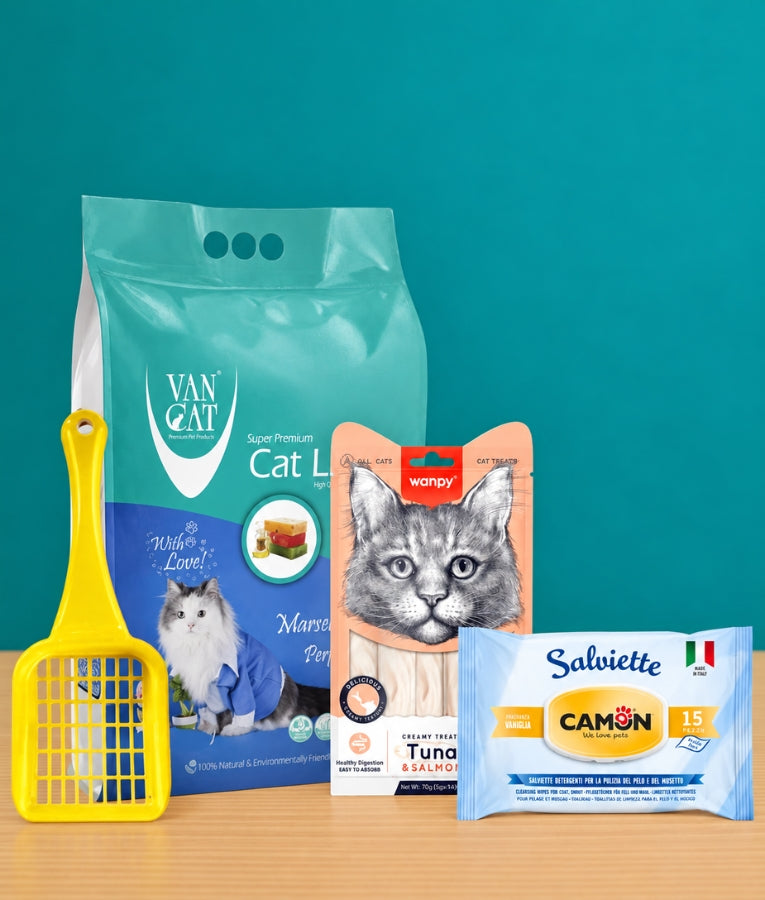 Little Paws Bundle – Kitten Essentials