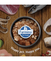 Farmina - N&D Pumpkin, Lamb, and Blueberry Adult Dog Wet Food In Gravy 285g - For Immunity Support