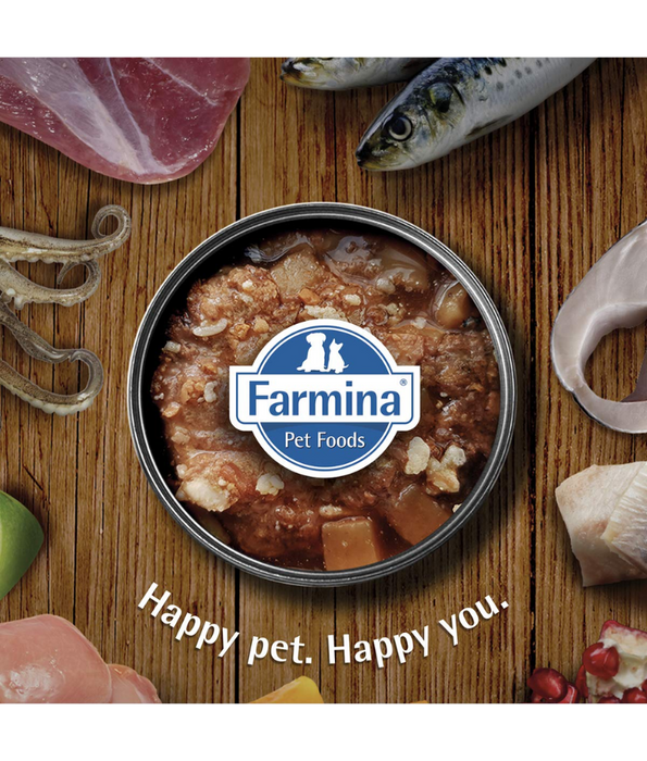 Farmina - N&D Pumpkin, Lamb, and Blueberry Adult Dog Wet Food In Gravy 285g - For Immunity Support