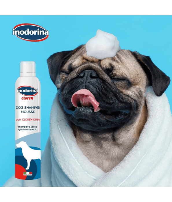 Inodorina - Chlorhexidine Shampoo Mousse For Dogs 300ml