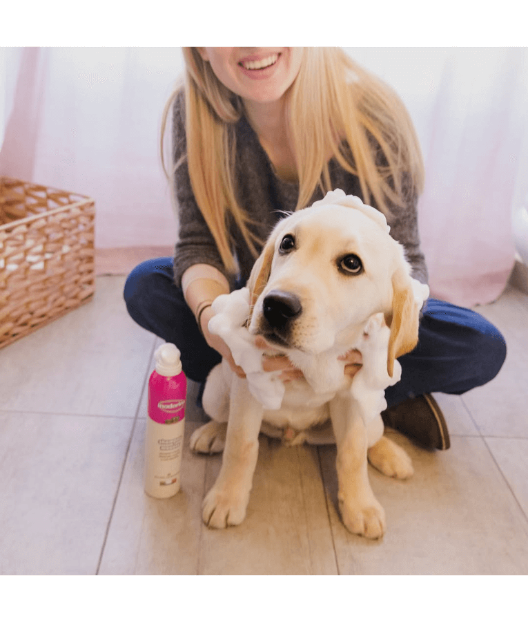 Inodorina - Chlorhexidine Shampoo Mousse For Dogs 300ml