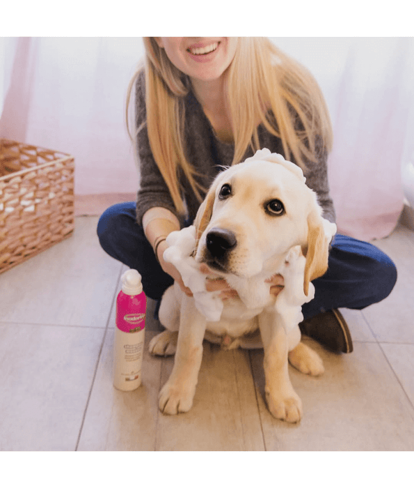 Inodorina - Chlorhexidine Shampoo Mousse For Dogs 300ml