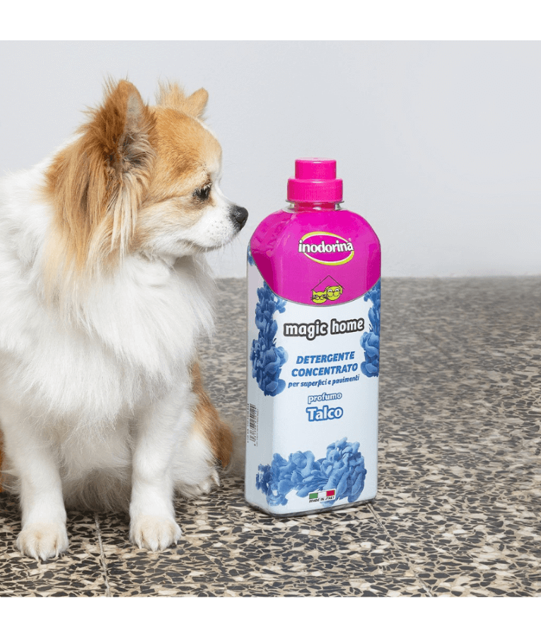Inodorina - Magic Home Floor Detergent - Cedar perfume 1 Liter