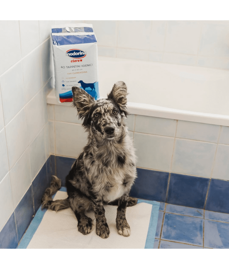 Inodorina - Clorex Hygienic Peepads