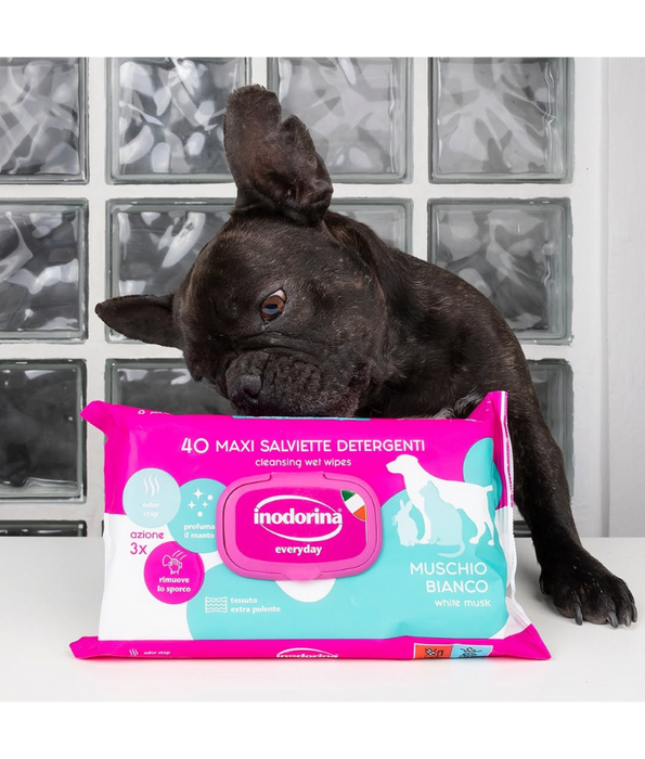Inodorina - Aloe Vera Wipes 40-110 sheets